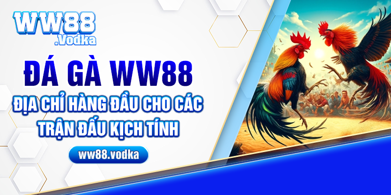 Đá Gà WW88 Chiến Kê Thư Hùng