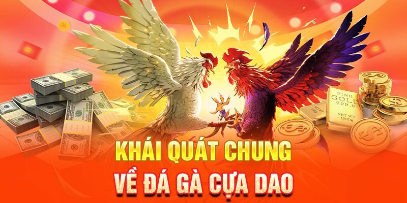 Giới thiệu hình thức đá gà cựa dao hấp dẫn hàng đầu tại WW88