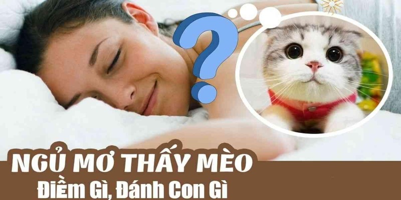 Mơ thấy mèo - Các con số may mắn trong năm 2024 cùng WW88