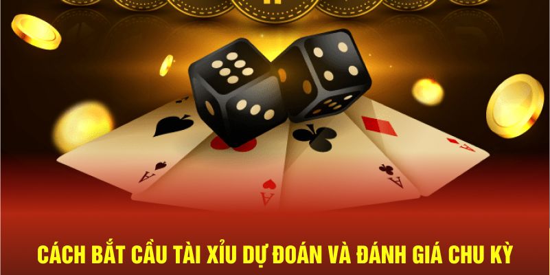 Cách bắt cầu tài xỉu dự đoán và đánh giá chu kỳ