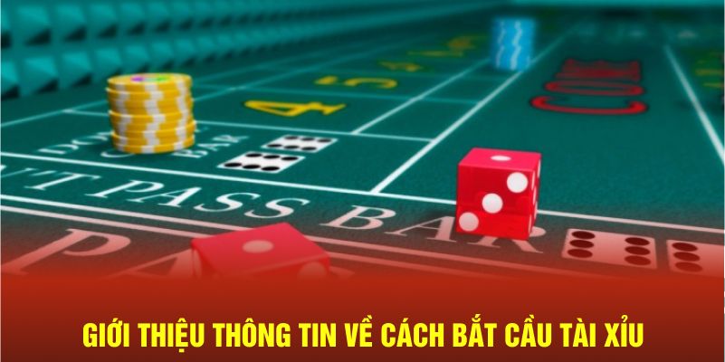 Giới thiệu thông tin về cách bắt cầu tài xỉu